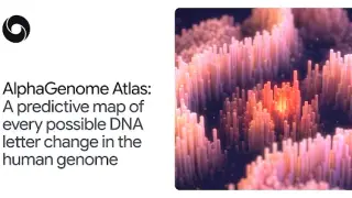 Image via Google DeepMind