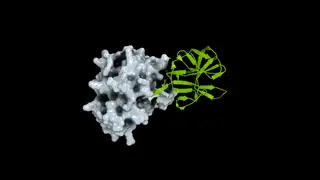 Image via Nvidia Blog