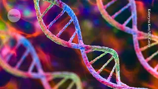 Image via Nature