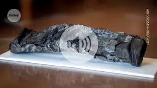 Image via Nature